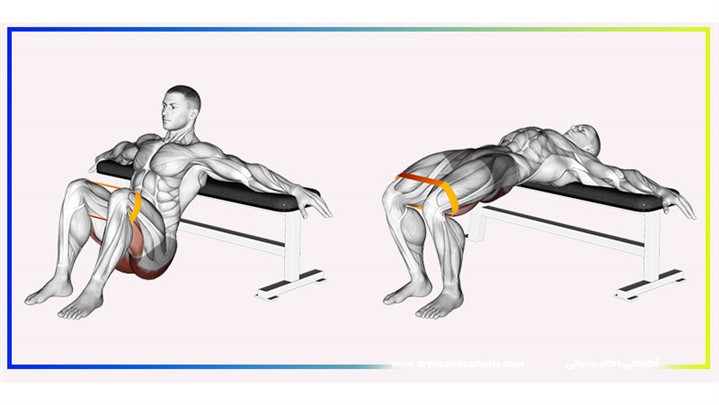 هیپ تراست با هالتر؛ تکنیک صحیح برای حداکثر عضله‌سازی