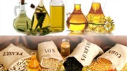 واردات دانه‌های روغنی به جای واردات محصولات نهایی