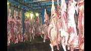 واردات گوشت تازه از مغولستان و ارمنستان