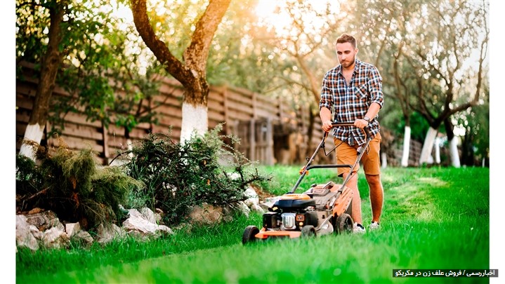 بهترین علف‌زن سال ۱۴۰۴؛ بررسی ۱۰ مدل پرفروش بازار