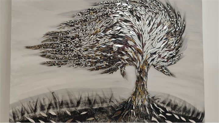 رادیس، رتبه اول در کیفیت و زیبایی