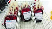 مدیریت خون بیمار مورد توجه جدی قرار نگرفته است