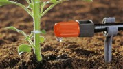 نصب آبیاری قطره ای