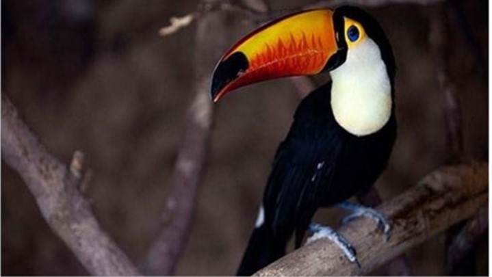 دیدنی‌های اصفهان در بهار