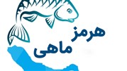 فروشگاه اینترنتی هرمز ماهی مجری فروش مستقیم انواع آبزیان جنوب در ایران