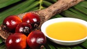تکذیب واردات 2 برابری «روغن پالم» به کشور