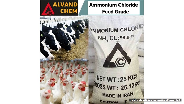 آمونیوم کلراید فید گرید 99.9 درصد در خوراک دام و طیور چه کاربردهایی دارد؟ آمونیوم کلراید فید گرید 99.9 درصد در خوراک دام و طیور چه کاربردهایی دارد؟
