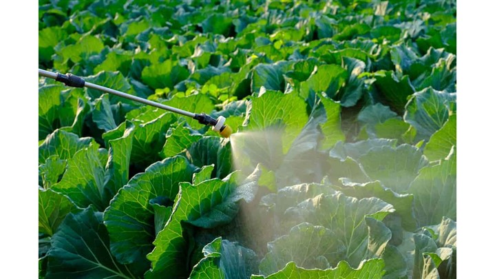 پرکاربرد ترین مواد های ضد عفونی که در کشاورزی استفاده می‌شوند