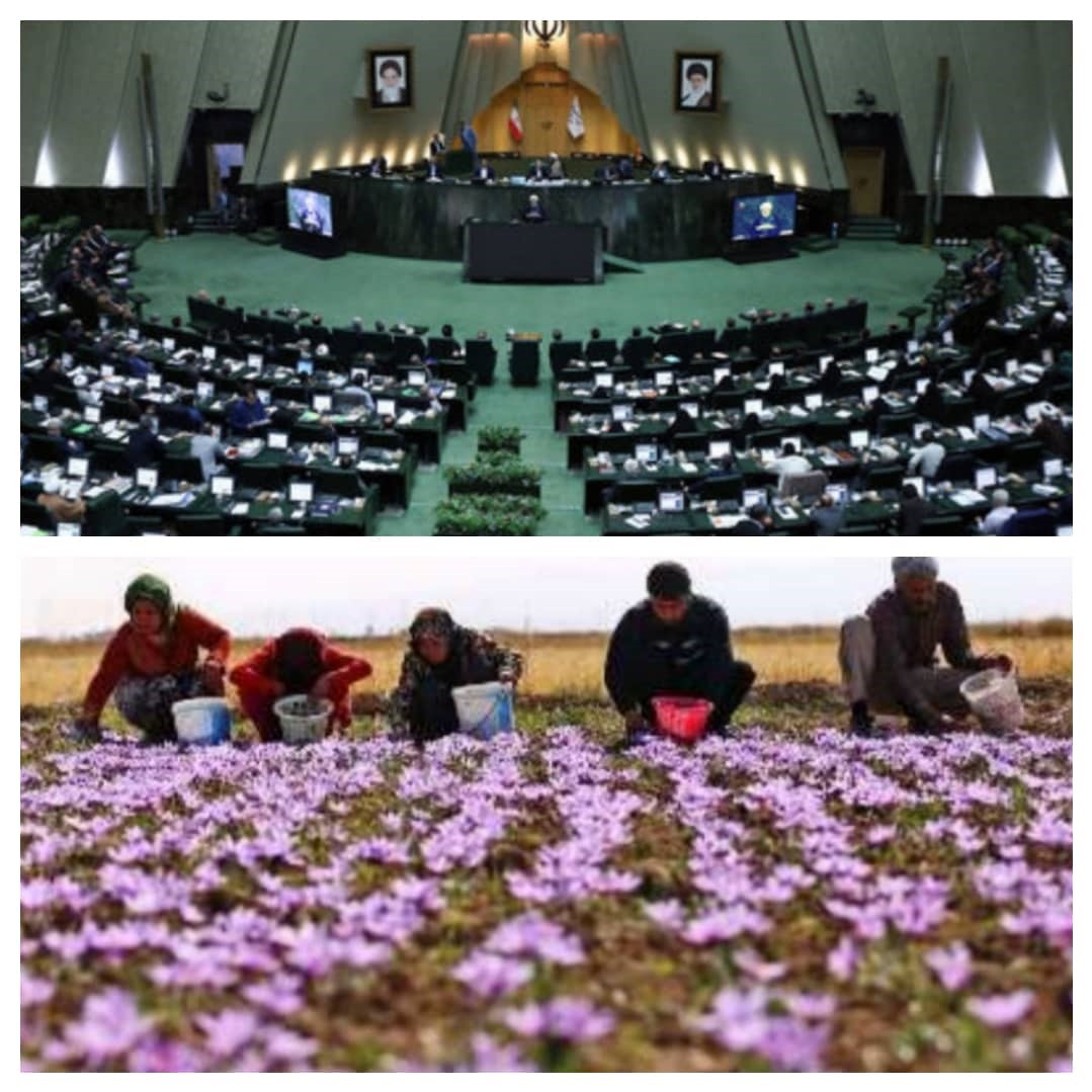 پیش‌بینی کاهش تولید زعفران ایران، باعث افزایش تقاضای مشتریان خارجی شده است