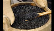 کاهش 30 درصدی صادرات خاویار