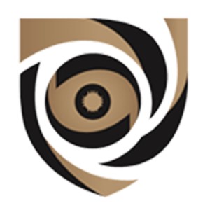 پرتو نگاه ایمن الکترونیک