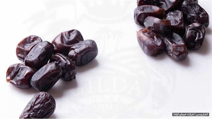 صادرات رطب مضافتی بم؛ طلای سیاه در بازار ایران و جهان