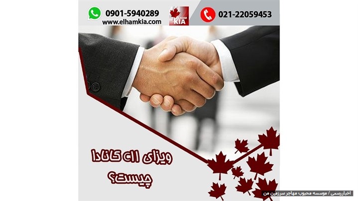 ویزای C11 کانادا چیست؟