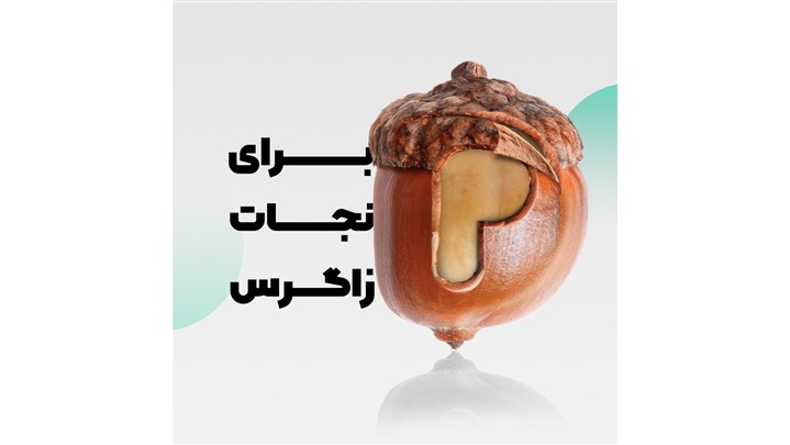 همایش برای نجات زاگرس؛ فرصتی برای احیاء جنگل‌های زاگرس