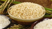 برنج مبتلایان به دیابت باید دارای چه خصوصیاتی باشد؟
