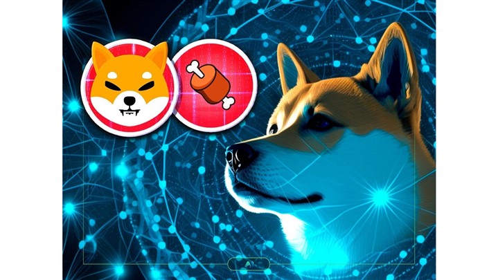 معرفی پروژه شیباریوم