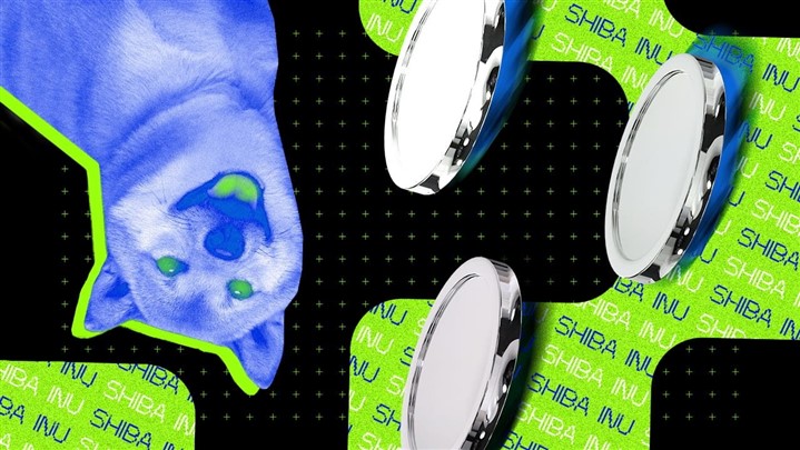 معرفی پروژه شیباریوم