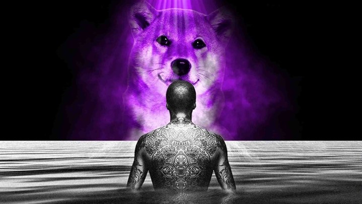 معرفی پروژه شیباریوم