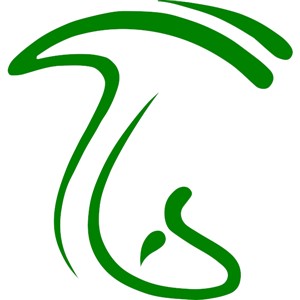 دانشنامه هاگ