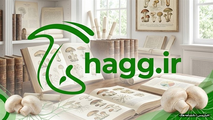 تحول بزرگ در «دانشنامه هاگ»؛ رونمایی از آدرس و هویت بصری جدید