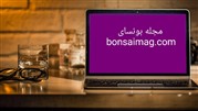 رونمایی از سایت مجله بونسای با هدف آموزش علمی بونسای