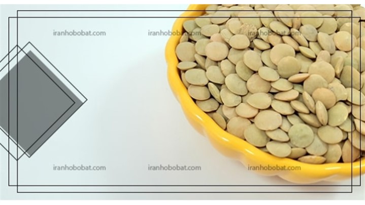 مناسب ترین عدس روس را از کجا تهیه کنیم؟ مناسب ترین عدس روس را از کجا تهیه کنیم؟
