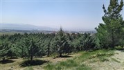 معرفی پارک های جنگلی تهران؛ طبیعت گردی در اطراف پایتخت معرفی پارک های جنگلی تهران؛ طبیعت گردی در اطراف پایتخت