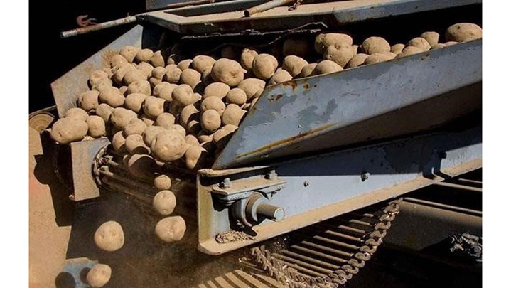 از خط تولید چیپس سیب زمینی تا صادرات چیپس