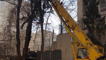 جابجایی درخت جابجایی درخت