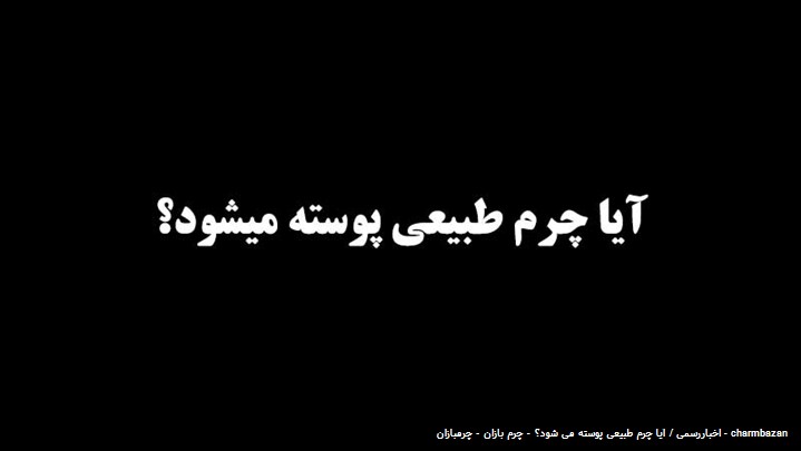 آیا چرم طبیعی پوسته می شود؟ آیا چرم طبیعی پوسته می شود؟
