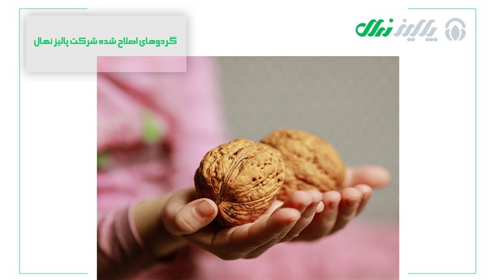 انتخاب کنید، بنویسید، کاشت کنید: انواع نهال گردودر یک نگاه