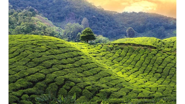 10 مکان دیدنی هند