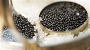 قیمت خاویار ایرانی: راهنمایی برای این شاهکار بی‌نظیر