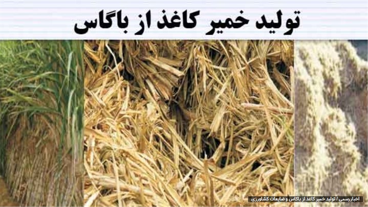 تولید خمیر کاغذ از باگاس و ضایعات کشاورزی تولید خمیر کاغذ از باگاس و ضایعات کشاورزی