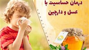 پنج خاصیت عسل و دارچین که احتمالا نمی دانید!