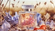  پرفروش ترین عطرهای زنانه در دنیا