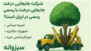 چرا سبزوانه بهترین شرکت جابجایی درخت با مجوز رسمی در ایران است؟