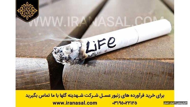2 کاری که باعث میشه خودتان به کبدتان آسیب بزنید 2 کاری که باعث میشه خودتان به کبدتان آسیب بزنید