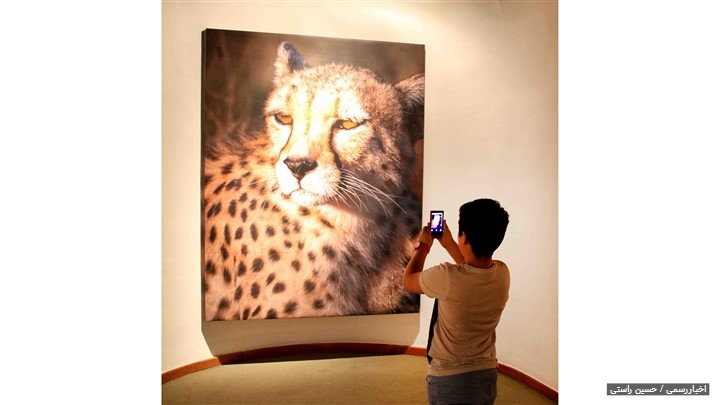 قصه های دیجیتال " شیرهای ایران " منتشر می شوند