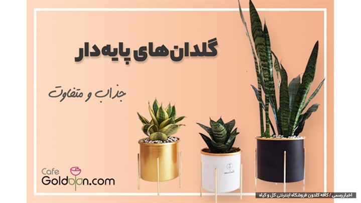 کافه گلدون اولین فروشگاه گل و گیاه اینترنتی با مجوز اتحادیه کسب و کار مجازی