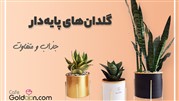 کافه گلدون اولین فروشگاه گل و گیاه اینترنتی با مجوز اتحادیه کسب و کار مجازی