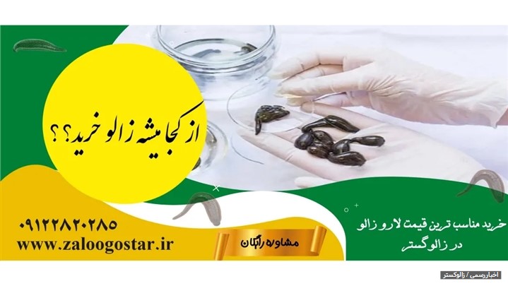 از کجا میشه زالو خرید؟ راهنمای جامع خرید زالوی طبی باکیفیت از کجا میشه زالو خرید؟ راهنمای جامع خرید زالوی طبی باکیفیت