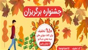 تخفیف‌ 10 درصدی فروش کاغذدیواری‌های سه بعدی از ابتدای مهر