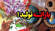 عدم پرداخت یارانه به تولید از ضعف قانون است