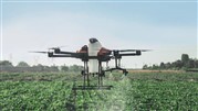 همه چیز درباره پهپاد کشاورزی