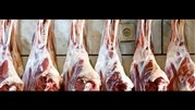 کاهش التهاب بازار گوشت گوسفندی با واردات