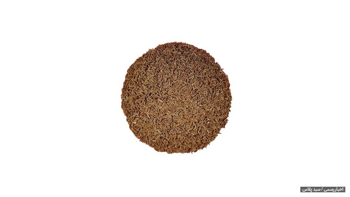 خواص بی نظیر زیره سبز چیست؟ (معرفی کامل) خواص بی نظیر زیره سبز چیست؟ (معرفی کامل)