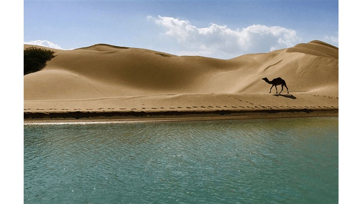 مهمترین نکات که پیش از سفر با تور چابهار باید بدانید! مهمترین نکات که پیش از سفر با تور چابهار باید بدانید!