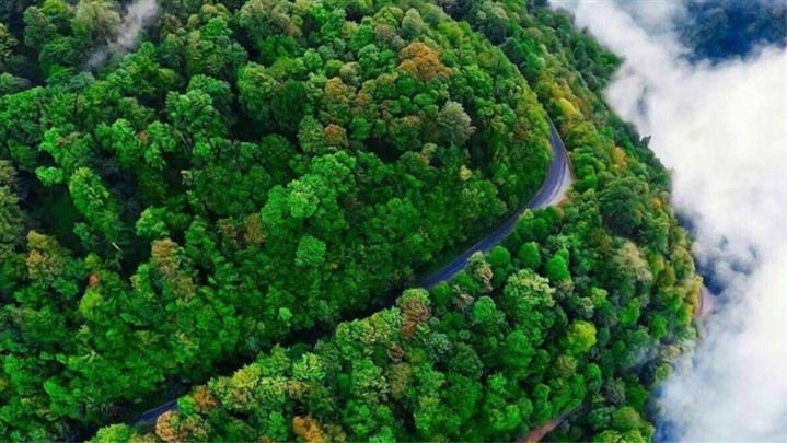 اجاره‌ ویلا و رزرو هتل در رامسر از تخفیفان