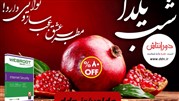 ارائه آنتی ویروس با تخفیف ویژه توسط دورانتاش به مناسبت شب یلدا